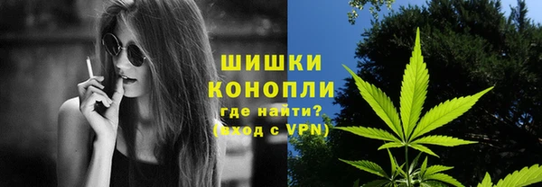 винт Рославль