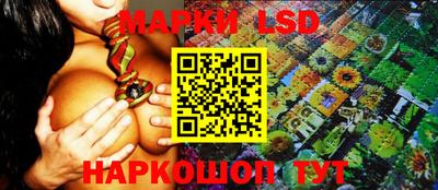 ECSTASY Заволжье
