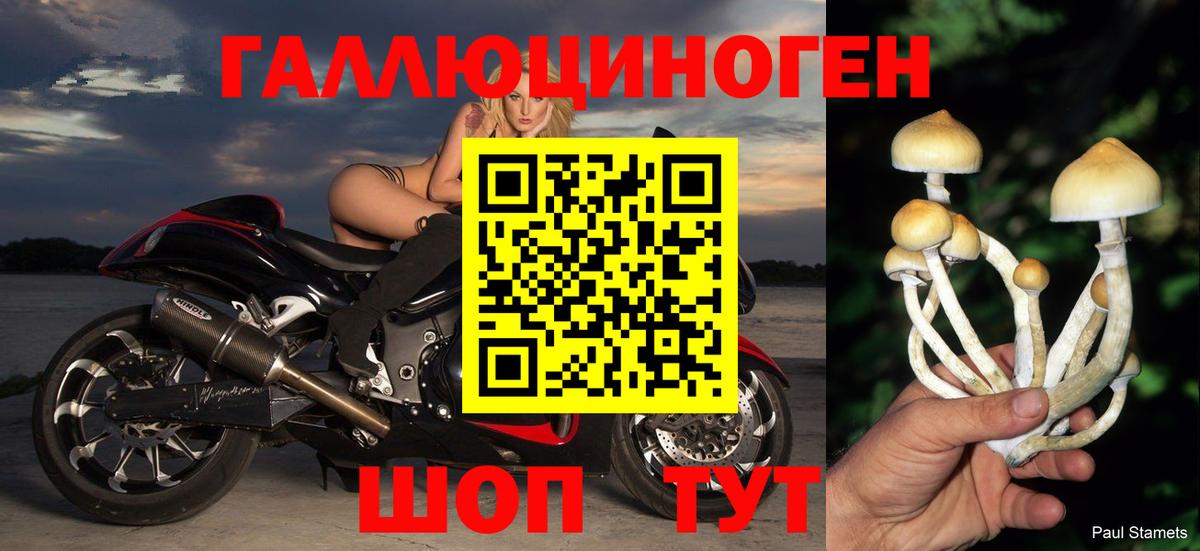 Галлюциногенные грибы ЛСД  Спасск-Дальний  Галлюциногенные грибы Cubensis 