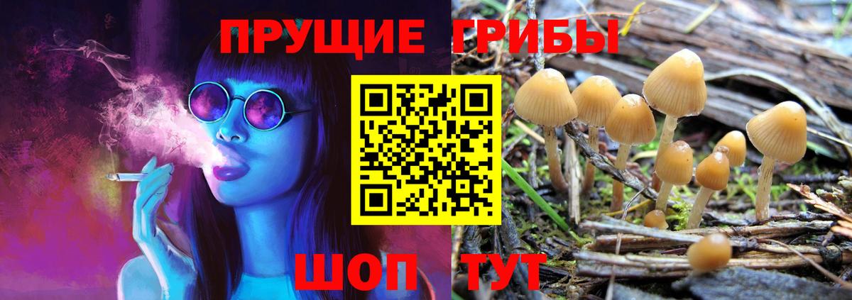 Псилоцибиновые грибы Magic Shrooms Спасск-Дальний